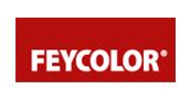 Feycolor logo